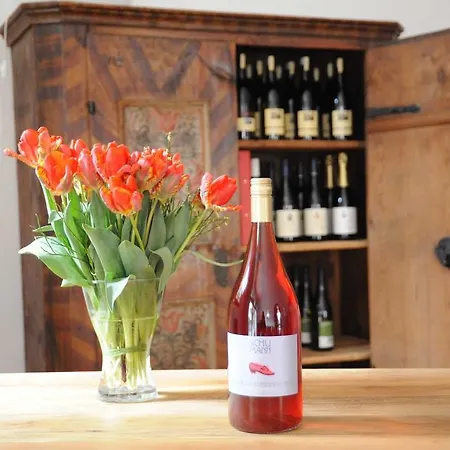 아파트 Weinloft 스타우펜임브라이스가우